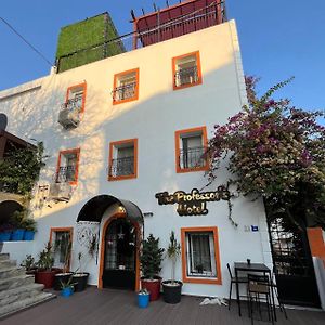 The Professor'S Hotel